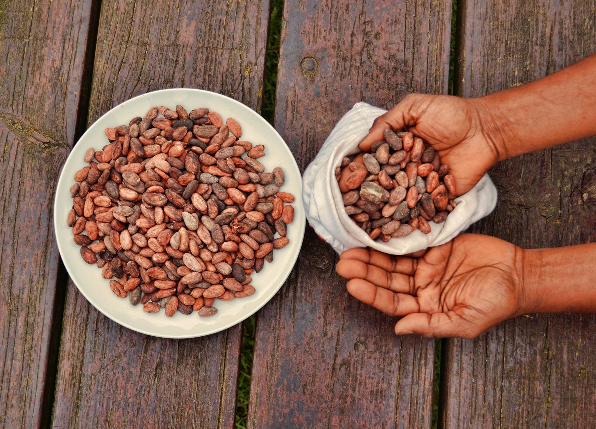 Hands holding cacao beans beside a bowl of beans on a wooden table.